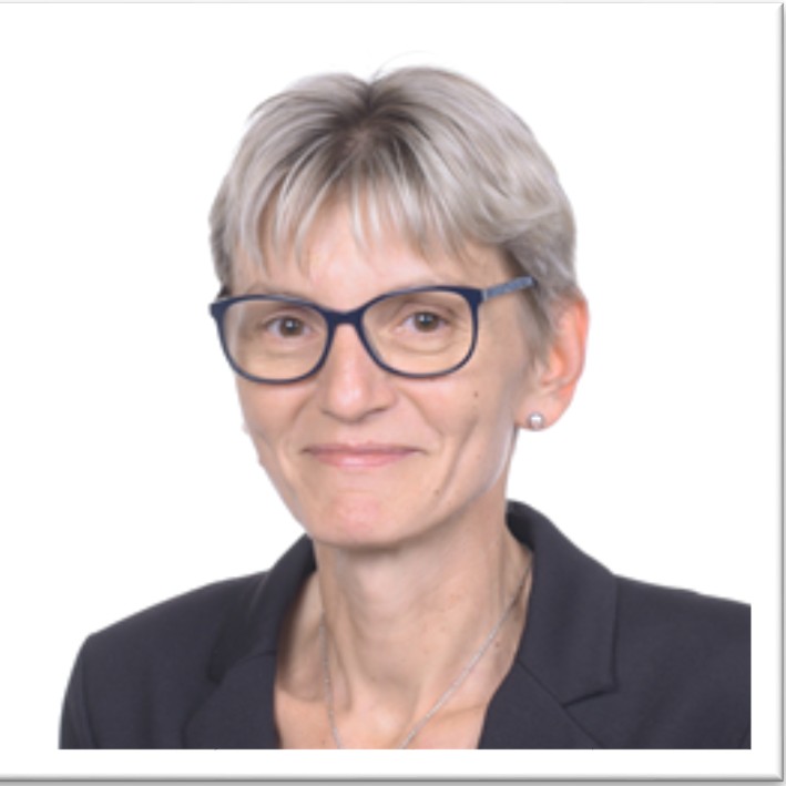 Prof. dr hab. inż. Beata Kolesińska